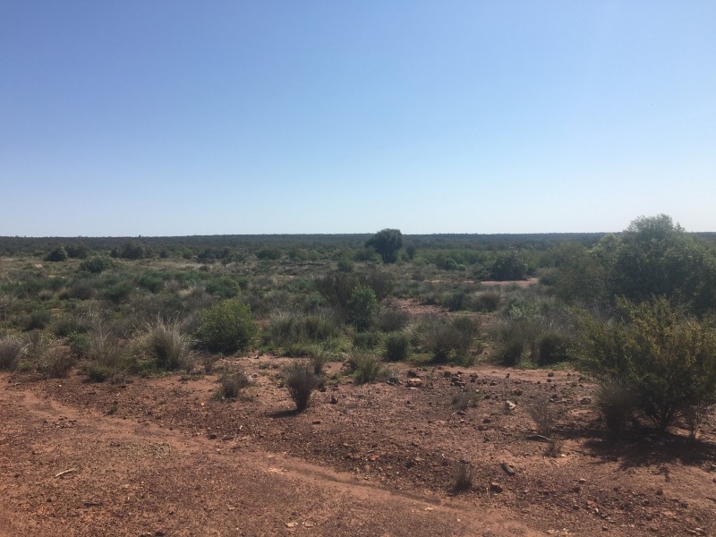 Yanagan/Lot 3 Kinkora Road, Roma QLD 4455