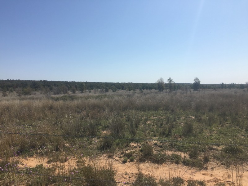 Yanagan/Lot 3 Kinkora Road, Roma QLD 4455