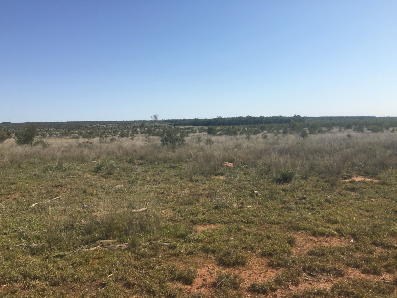 Yanagan/Lot 3 Kinkora Road, Roma QLD 4455