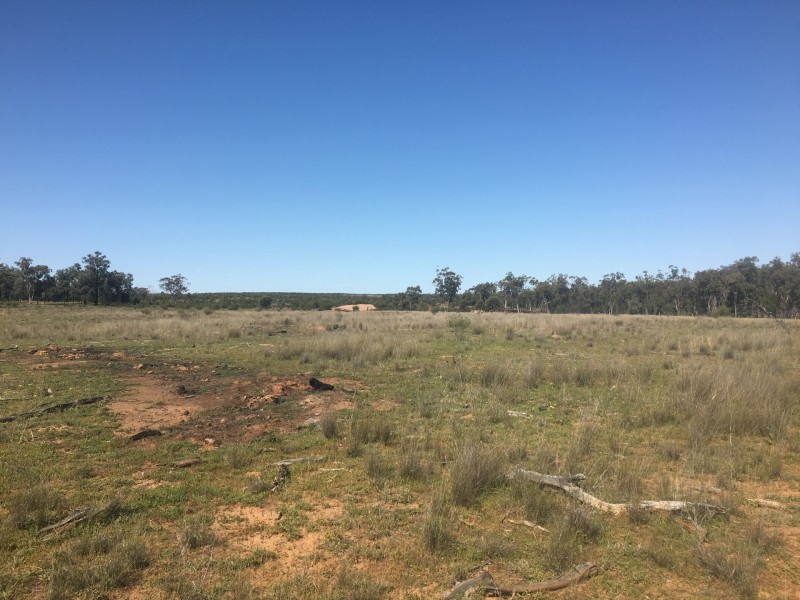 Yanagan/Lot 3 Kinkora Road, Roma QLD 4455