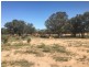 Yanagan/Lot 3 Kinkora Road, Roma QLD 4455