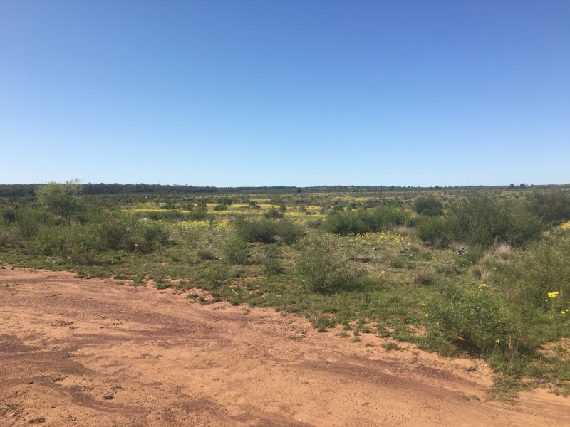 Yanagan/Lot 3 Kinkora Road, Roma QLD 4455