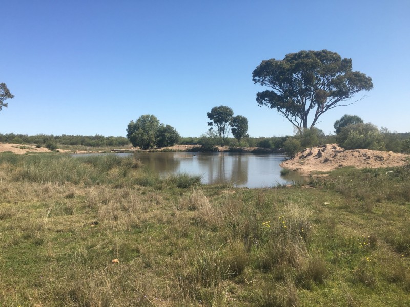 Yanagan/Lot 3 Kinkora Road, Roma QLD 4455