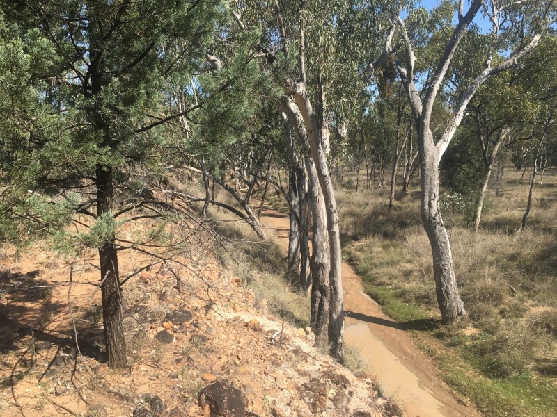 Yanagan/Lot 3 Kinkora Road, Roma QLD 4455
