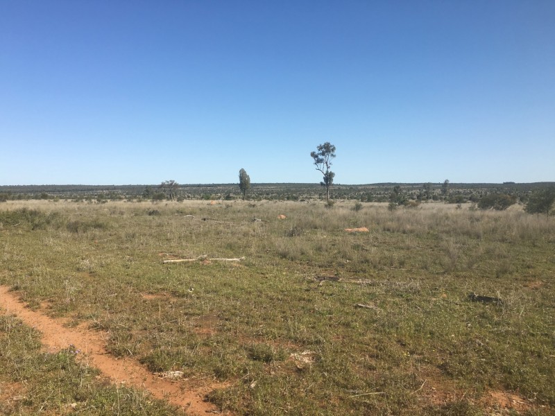 Yanagan/Lot 3 Kinkora Road, Roma QLD 4455