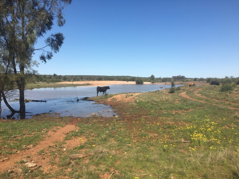 Yanagan/Lot 3 Kinkora Road, Roma QLD 4455