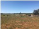 Yanagan/Lot 3 Kinkora Road, Roma QLD 4455