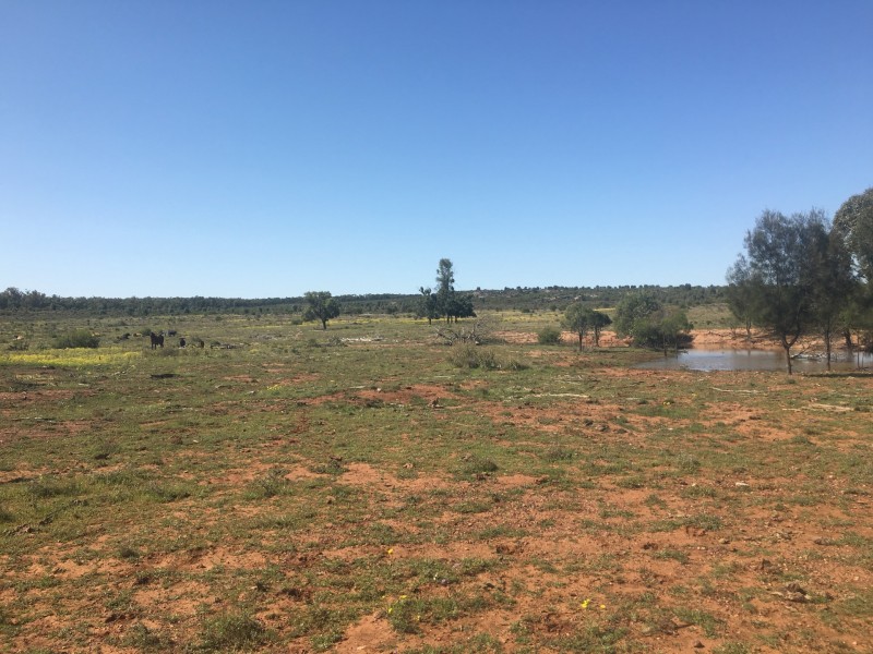 Yanagan/Lot 3 Kinkora Road, Roma QLD 4455