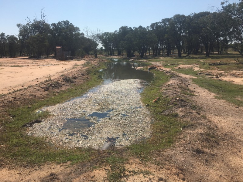 Yanagan/Lot 3 Kinkora Road, Roma QLD 4455