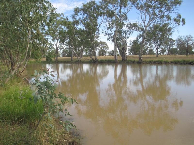 1685 Meandarra-Talwood Road, Meandarra QLD 4422