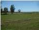 1685 Meandarra-Talwood Road, Meandarra QLD 4422