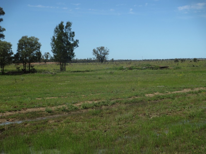 1685 Meandarra-Talwood Road, Meandarra QLD 4422