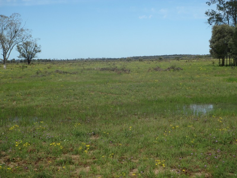 1685 Meandarra-Talwood Road, Meandarra QLD 4422