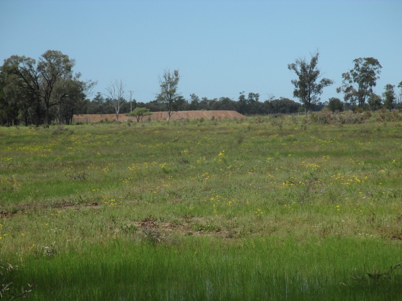 1685 Meandarra-Talwood Road, Meandarra QLD 4422