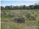 1685 Meandarra-Talwood Road, Meandarra QLD 4422