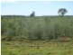 1685 Meandarra-Talwood Road, Meandarra QLD 4422