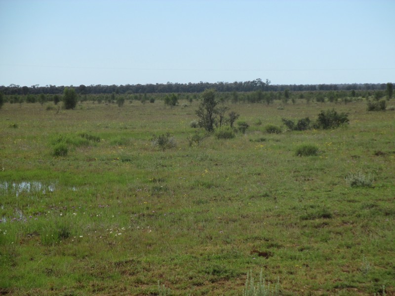 1685 Meandarra-Talwood Road, Meandarra QLD 4422