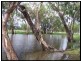 1149 Meandarra-Talwood Road, Meandarra QLD 4422