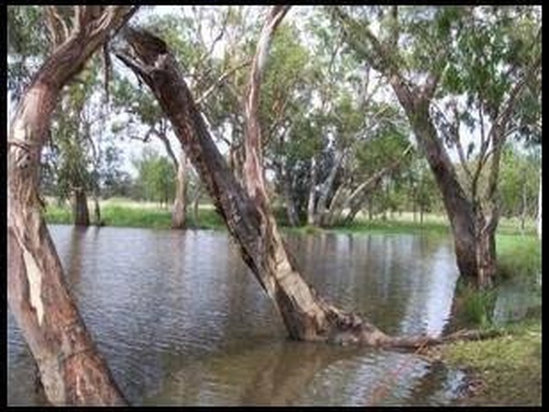 1149 Meandarra-Talwood Road, Meandarra QLD 4422