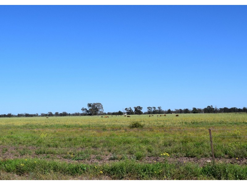 1149 Meandarra-Talwood Road, Meandarra QLD 4422