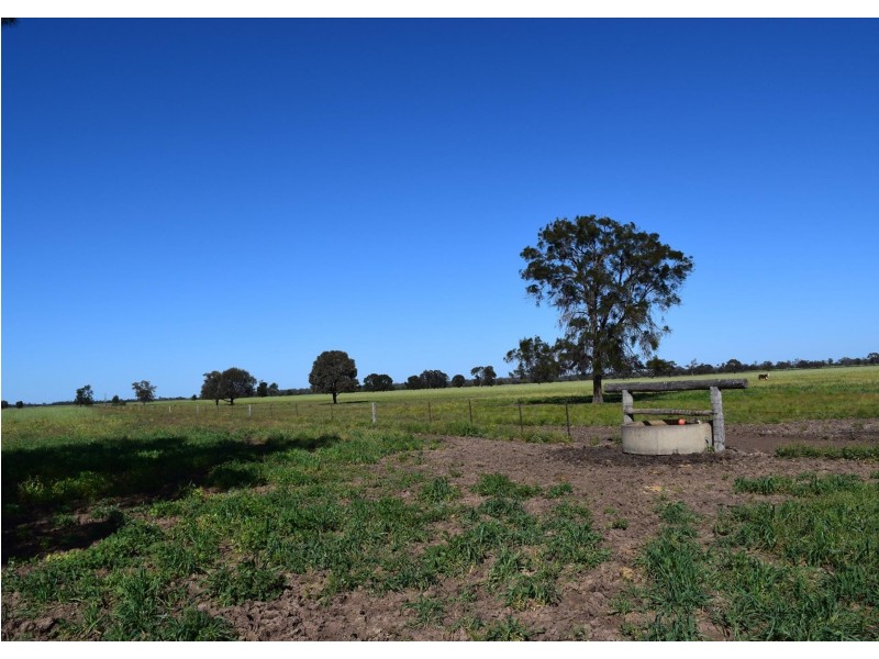 1149 Meandarra-Talwood Road, Meandarra QLD 4422