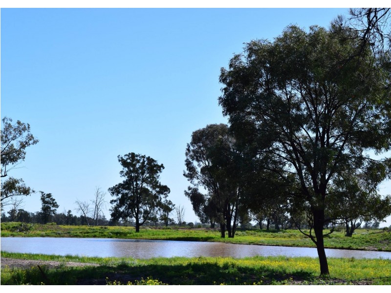 1149 Meandarra-Talwood Road, Meandarra QLD 4422