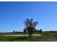1149 Meandarra-Talwood Road, Meandarra QLD 4422
