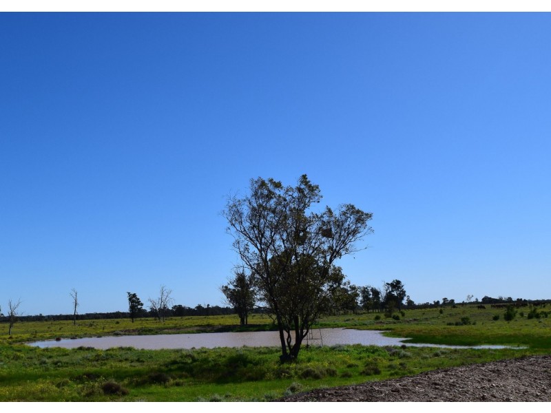 1149 Meandarra-Talwood Road, Meandarra QLD 4422