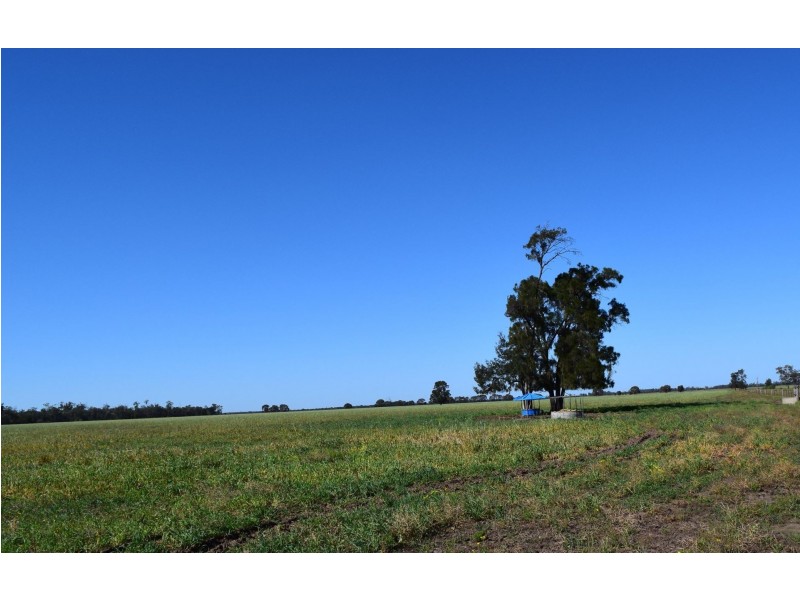 1149 Meandarra-Talwood Road, Meandarra QLD 4422