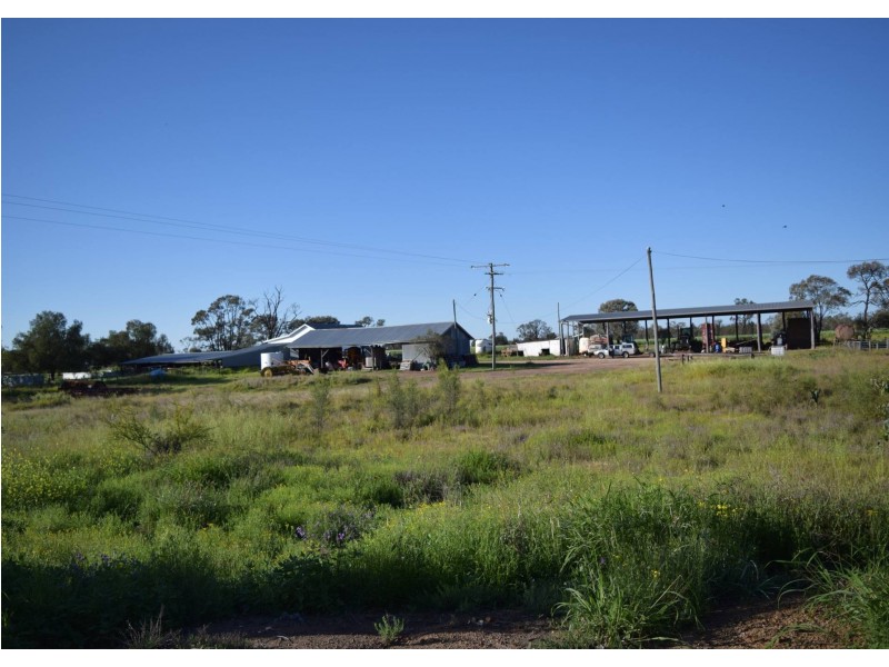1149 Meandarra-Talwood Road, Meandarra QLD 4422
