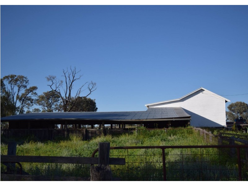 1149 Meandarra-Talwood Road, Meandarra QLD 4422
