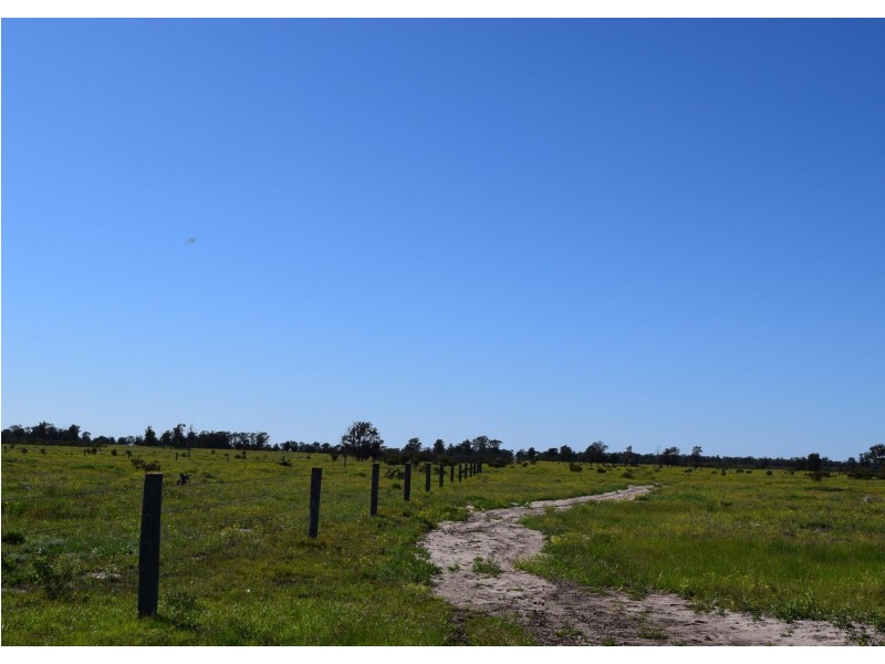 1149 Meandarra-Talwood Road, Meandarra QLD 4422