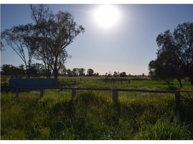1149 Meandarra-Talwood Road, Meandarra QLD 4422