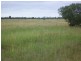 1149 Meandarra-Talwood Road, Meandarra QLD 4422