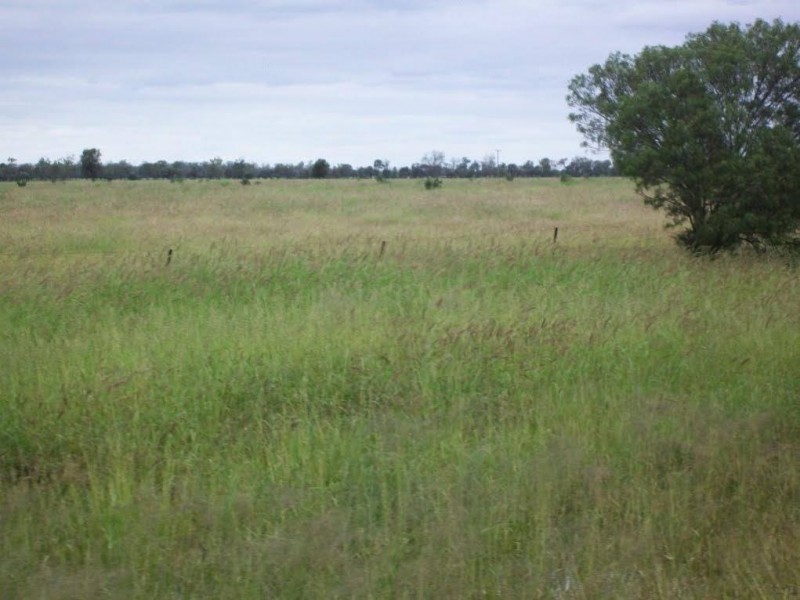 1149 Meandarra-Talwood Road, Meandarra QLD 4422