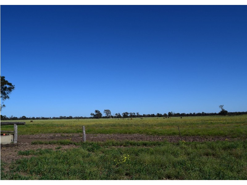 1149 Meandarra-Talwood Road, Meandarra QLD 4422