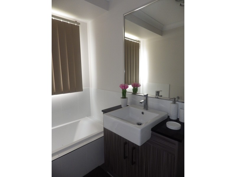 19 Lomandra Avenue, Roma QLD 4455