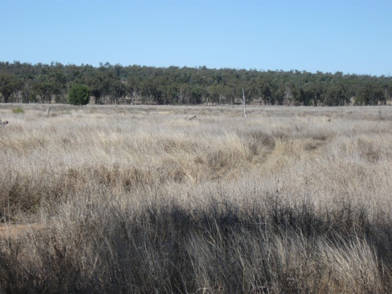 L2 Kincora Road, Roma QLD 4455