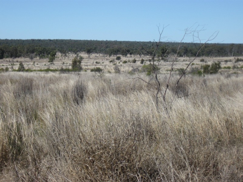 L2 Kincora Road, Roma QLD 4455