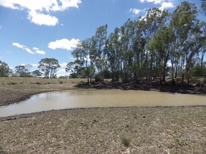 302 Gerhardts Lane, Roma QLD 4455