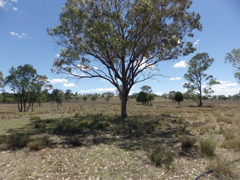 302 Gerhardts Lane, Roma QLD 4455