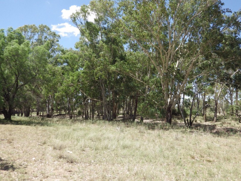 302 Gerhardts Lane, Roma QLD 4455