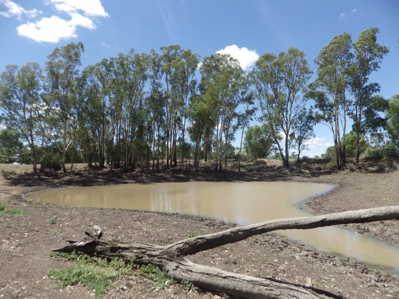 302 Gerhardts Lane, Roma QLD 4455