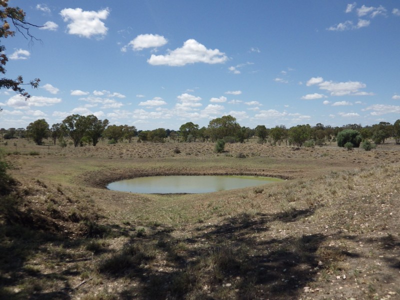 302 Gerhardts Lane, Roma QLD 4455