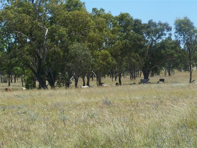 Lot 1 Orallo Road, Roma QLD 4455