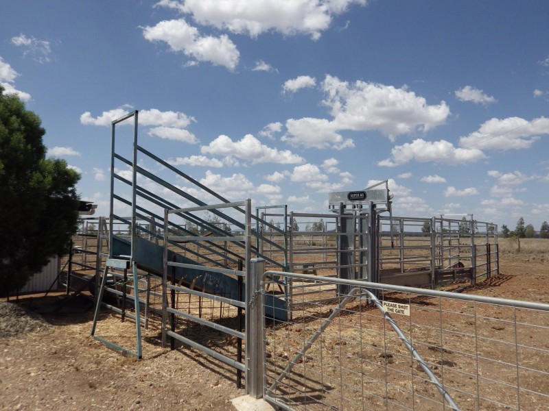 48 Orallo Road, Roma QLD 4455