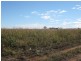 Dunkeld Road, Roma QLD 4455