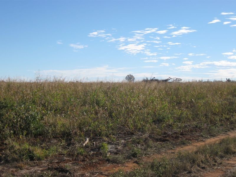 Dunkeld Road, Roma QLD 4455
