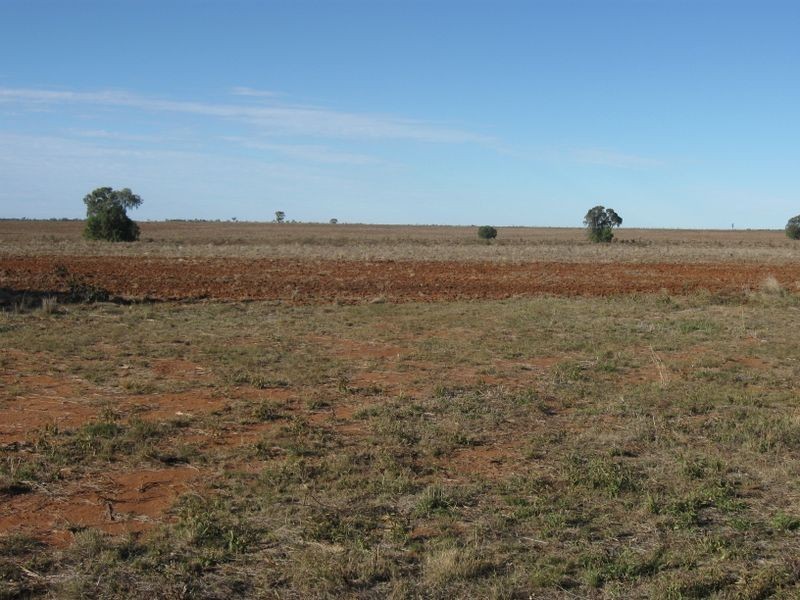 Dunkeld Road, Roma QLD 4455