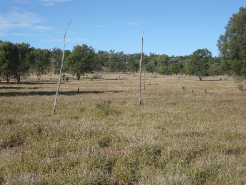 Dunkeld Road, Roma QLD 4455